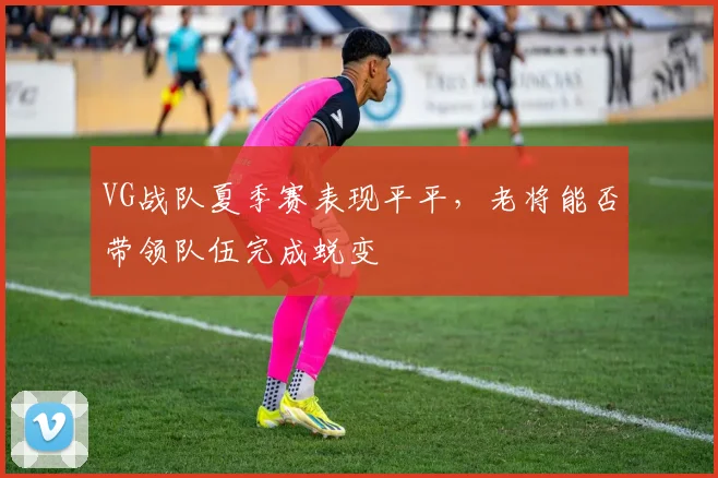 VG战队夏季赛表现平平，老将能否带领队伍完成蜕变
